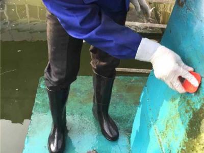 壹号娱乐-com - NG大舞台,有梦你就来防水涂料堪称一流的原因