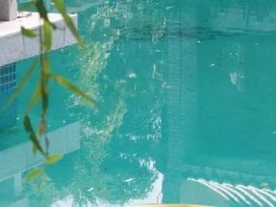 高效防水耐腐蚀：壹号娱乐-com - NG大舞台,有梦你就来超强水池涂料