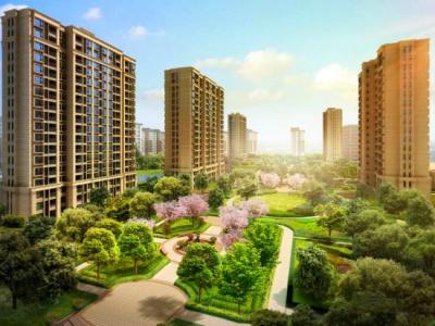 王牌在手！壹号娱乐-com - NG大舞台,有梦你就来国内经典案例再回首