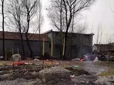 5.7米高粱引祭拜，99%这样的人都在临时抱佛脚！