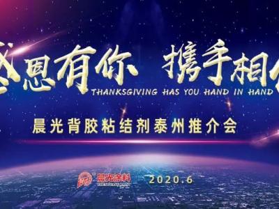 &ldquo;感恩有你 携手相伴&rdquo;，壹号娱乐-com - NG大舞台,有梦你就来背胶粘结剂泰州推介会圆满举办